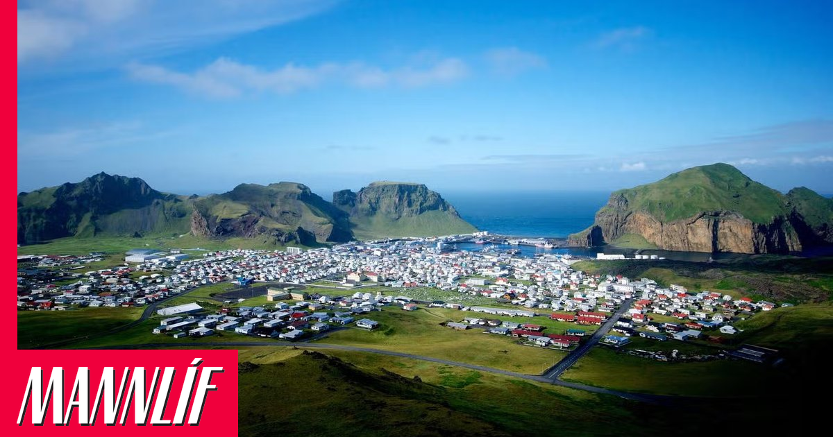 Fuglavernd vill stöðva skotveiðar á bjargdúfum í Vestmannaeyjum