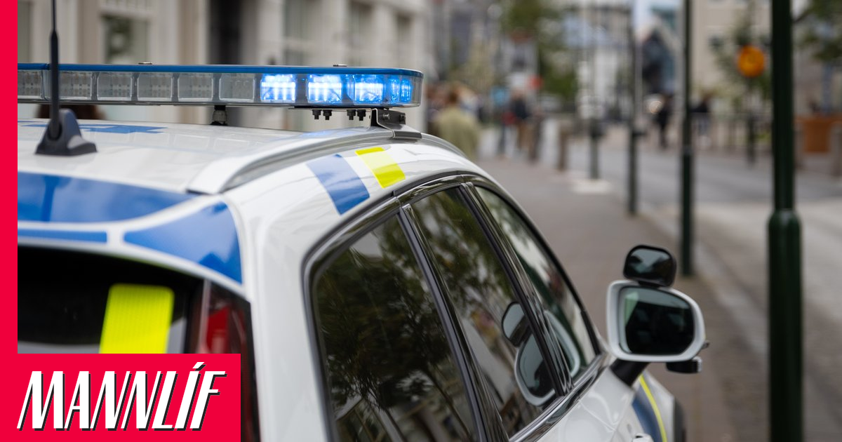 Kranabíll skall á göngubrú og tveir handteknir fyrir líkamsárásir