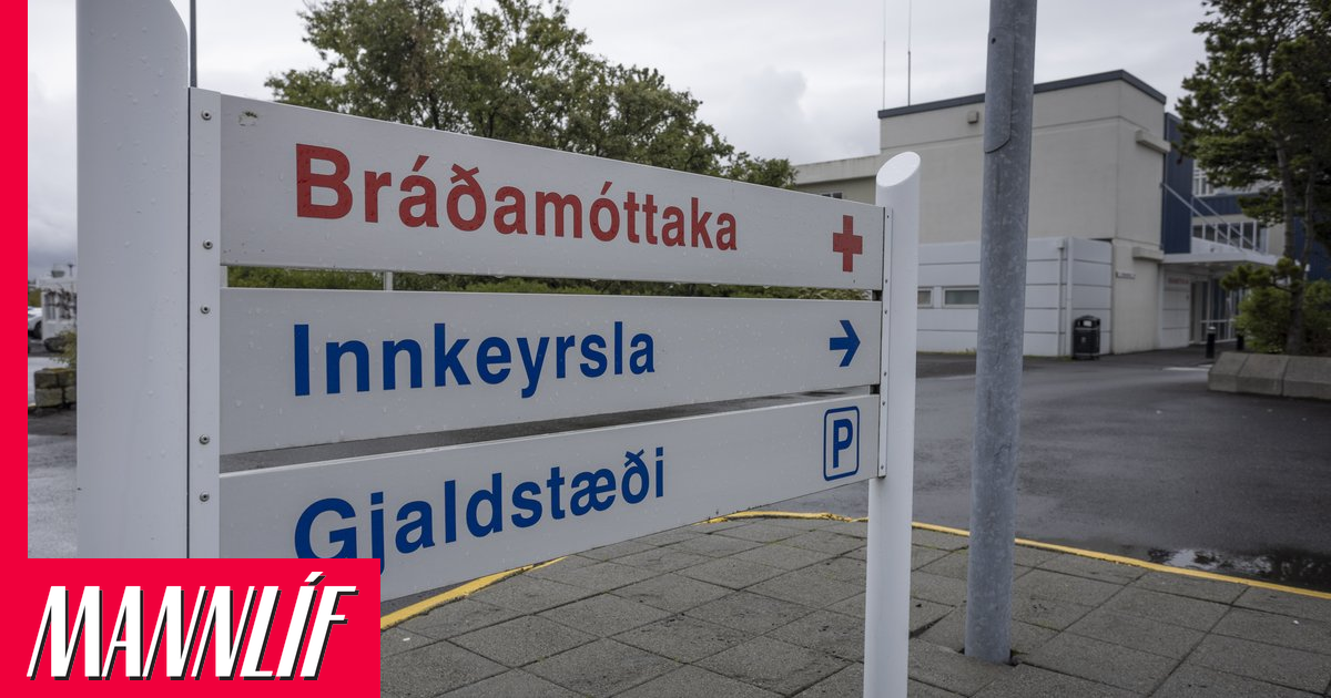 Ungmenni leitaði á bráðamóttöku