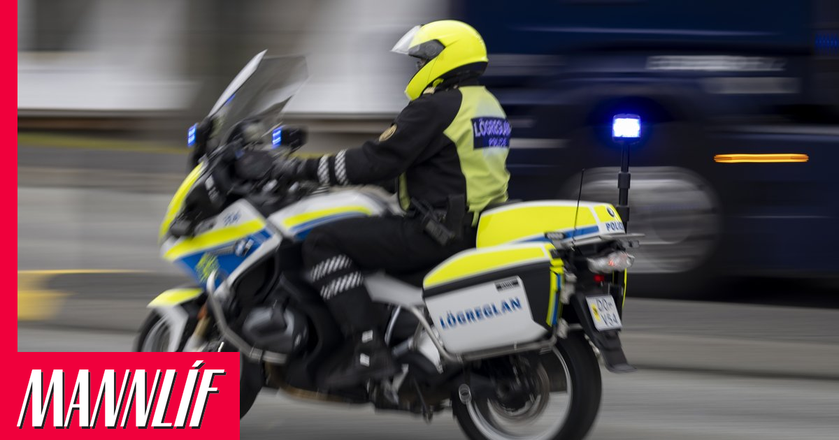 Stal málverki við Barónsstíg og flúði lögreglu á stolnum bíl
