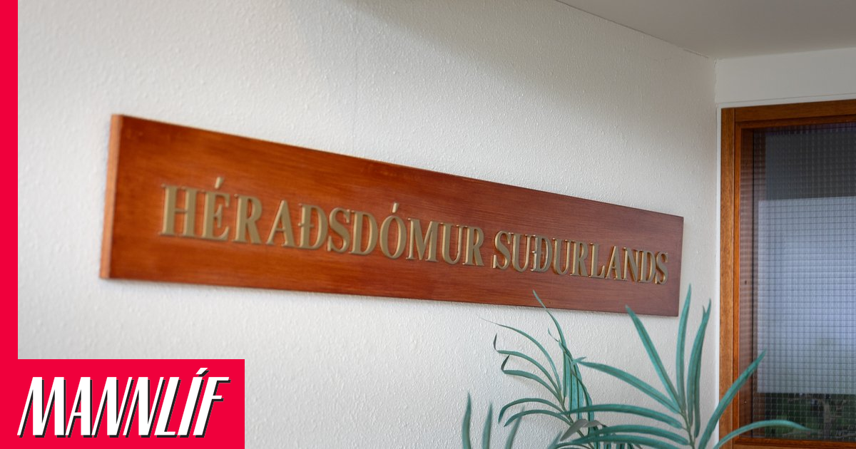 Andri óttaðist um að drepa fórnarlamb sitt í Reykholti