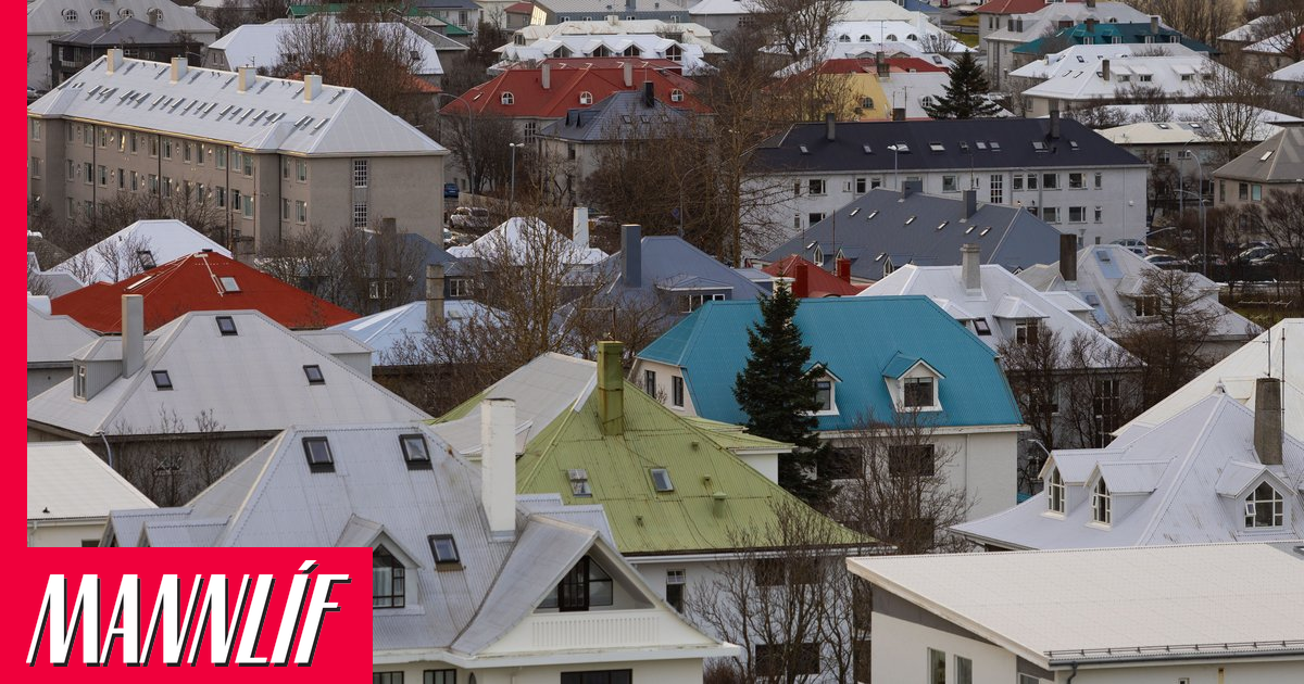 Leigusalinn kenndi utanlandsferð um veggjalúsina