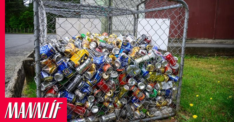 Gripinn glóðvolgur við dósastuld