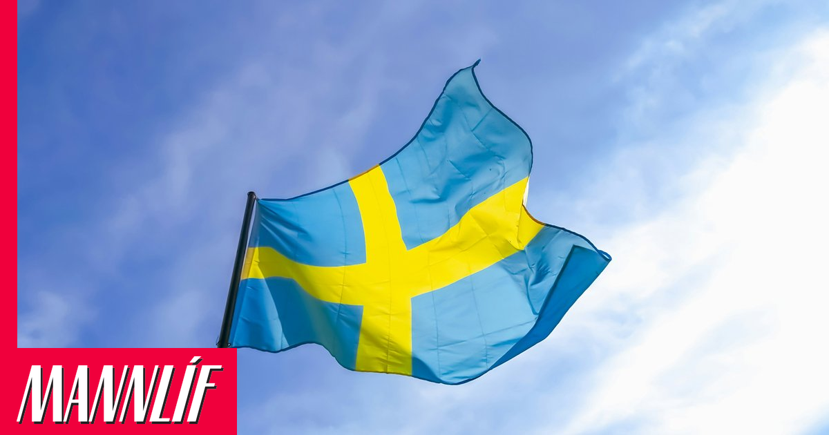 Grunur um skipulagt ofbeldi gegn yngri nemendum í sænskum skóla